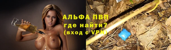 крисы Алексин