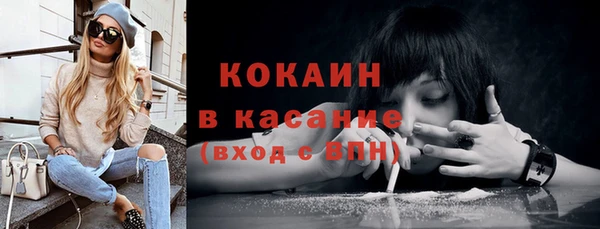 крисы Алексин