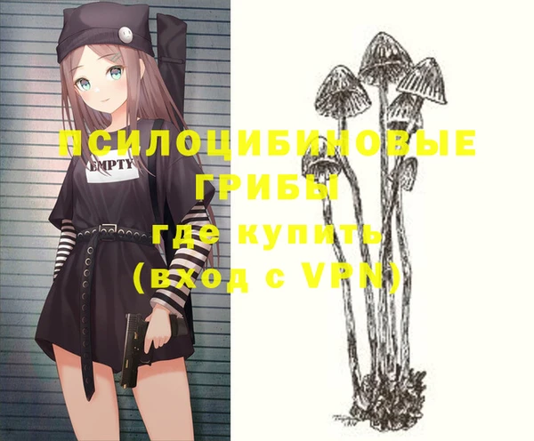 марки nbome Алексеевка