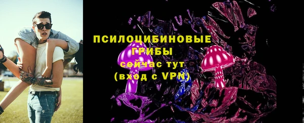 крисы Алексин