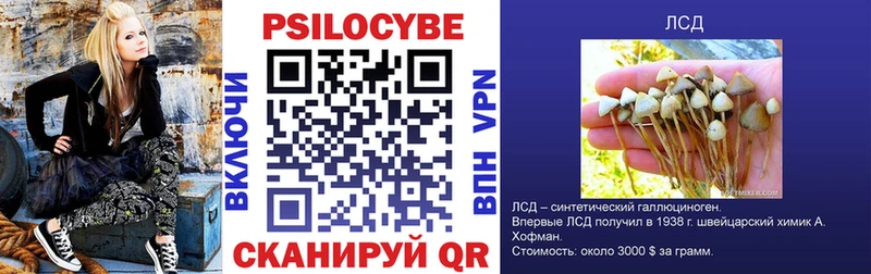 Галлюциногенные грибы Psilocybe  Белгород 